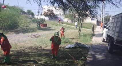 Inician trabajos de mantenimiento en parque natural de Colonial Cumbres