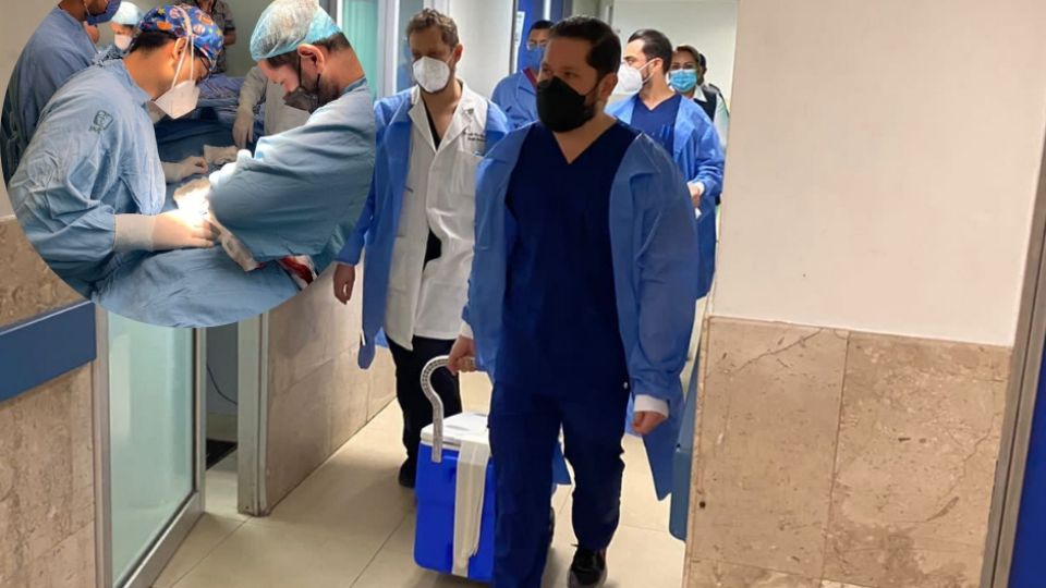 El equipo médico viajó a otras ciudades del país a procurar cuatro riñones de donantes cadavéricos que ellos mismos trasplantaron. Foto: Especial