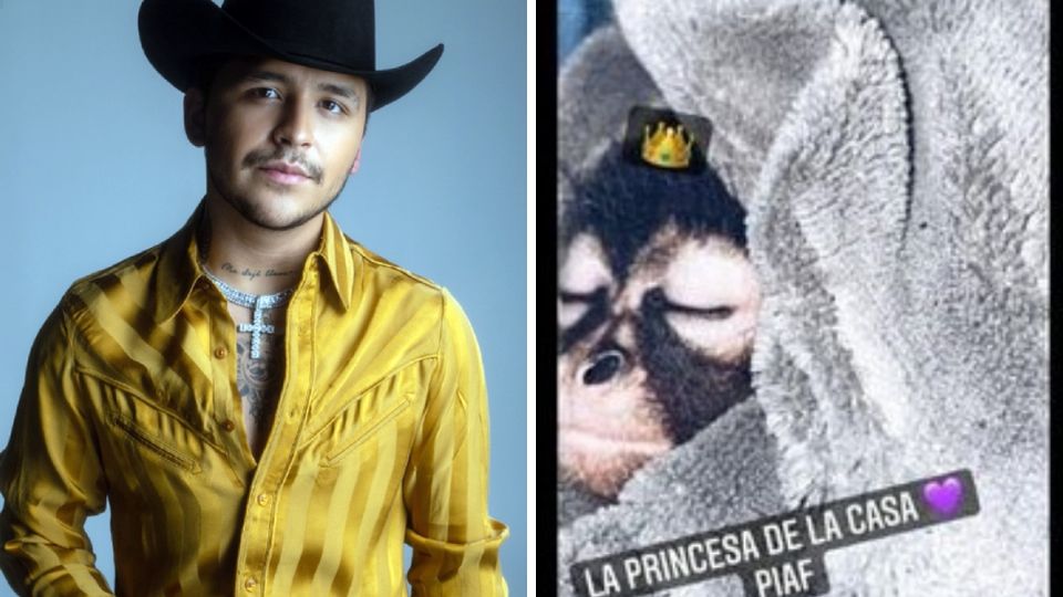 El cantante publicó una historia de Instagram, en la que presume a su nueva mascota. Foto: Especial