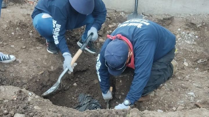 Hallan 41 bolsas con restos humanos en Irapuato