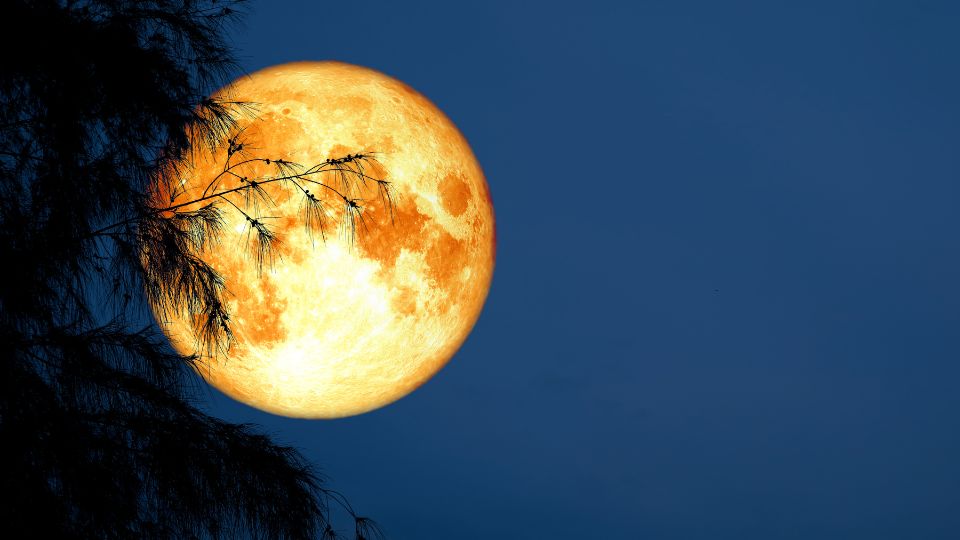 Luna de Sangre.