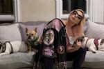 Por robar mascotas de Lady Gaga, lo sentencian a 21 años de prisión