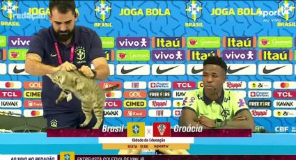 Encargado de prensa de Brasil echa bruscamente a gato de conferencia