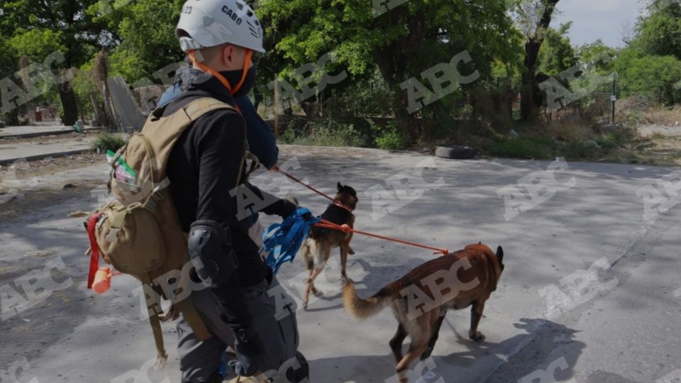 Binomios caninos buscan a Debanhi, chica desaparecida en Escobedo.