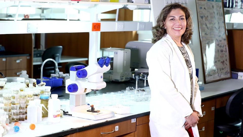 La investigadora de la UANL, Rosa María Sánchez Casas, detalló la relevancia de este proyecto en el estudio y tratamiento de enfermedades de transmisión vectorial en el plano nacional.