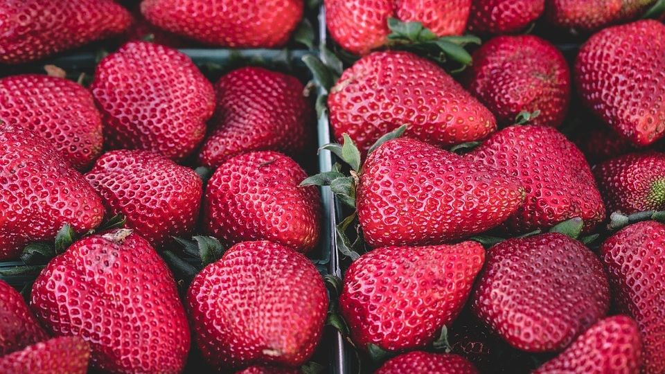 Fresas.