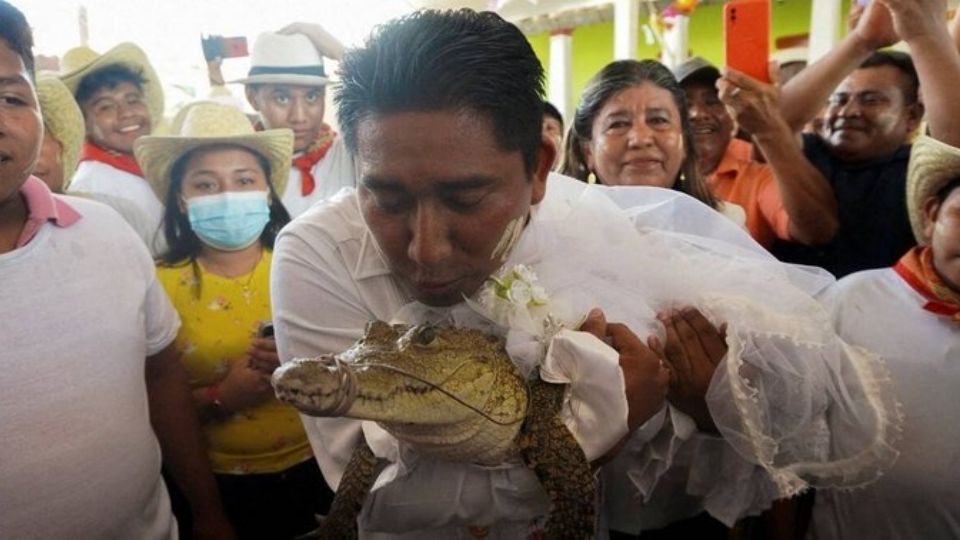 Se casa alcalde oaxaqueño con caimán llamada 'Princesita'.