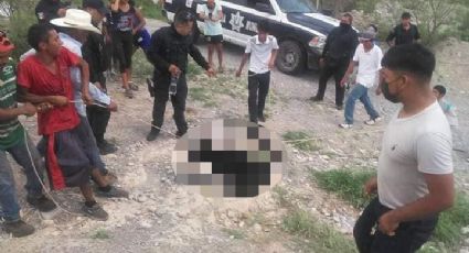 Pobladores asfixian a osezna en Coahuila; niños y policías estarían involucrados