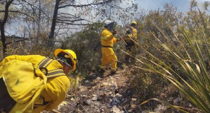 Incendio en Sierra de Rayones ha consumido 15 hectáreas