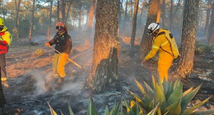 Protección Civil NL reduce incidencia de incendios forestales en un 99%