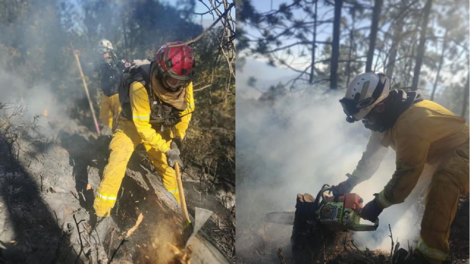 Elementos combatiendo incendio. Foto: Especial / Cortesía