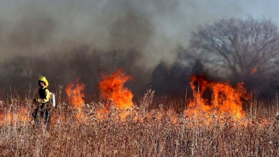 Incendio forestal. Foto: Archivo