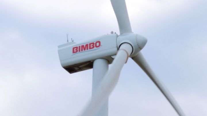 Grupo Bimbo reconocido por su esfuerzo para mitigar el cambio climático a nivel global