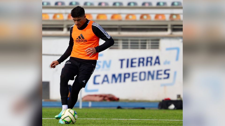 Después de días de espera, Nicolás Ibáñez ya está registrado con Tigres en la Liga MX.

