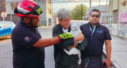 Protección Civil rescata a gatito atrapado en un domicilio