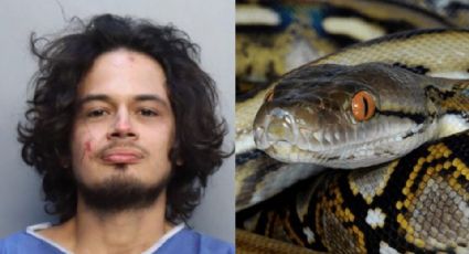 Hombre es detenido por decapitar de un mordisco a una serpiente en Miami