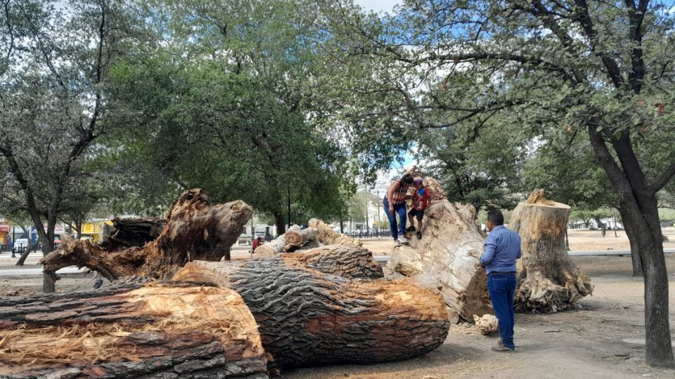 Paseantes de La Alameda Mariano Escobedo.