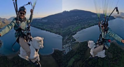 Critican a joven por saltar con su perro en parapente