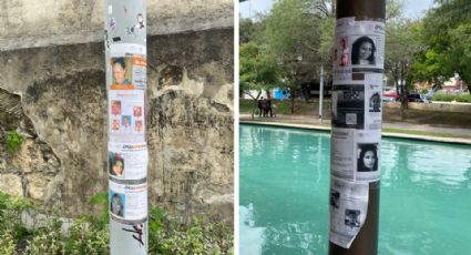 Tapizan postes del Paseo Santa Lucía con fotos de desaparecidos