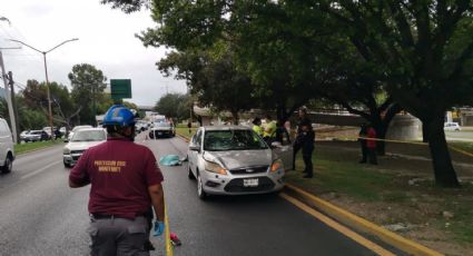 Muere mujer atropellada en avenida Lázaro Cárdenas en Monterrey