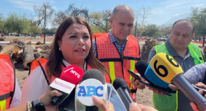 Monterrey reconoce que árboles de plazas murieron por la sequía