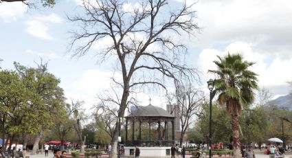 Advierten que falta de agua en el manto freático secó la Alameda