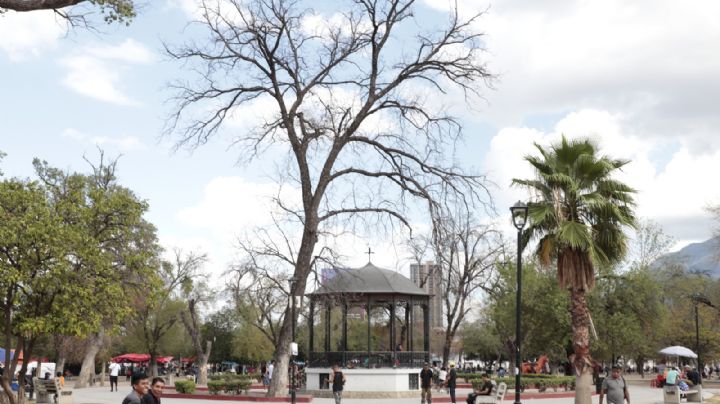 Advierten que falta de agua en el manto freático secó la Alameda