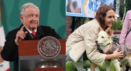 Destaca AMLO acciones de Clara Luz Flores contra maltrato animal