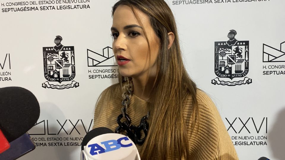 Diputada del PRI, Lorena de la Garza