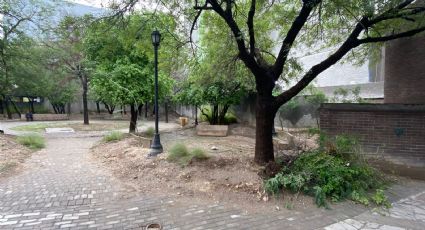 Tras 9 años de abandono, buscan rehabilitar el Parque Ciudadano en Monterrey