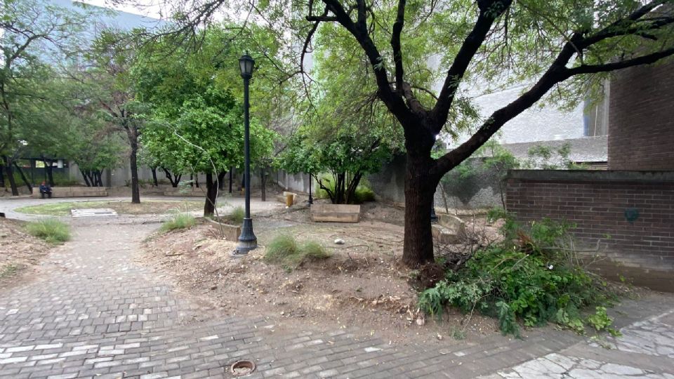 Parque Ciudadano en Nuevo León.