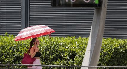 'Ahoga' calor a Brasil: São Paulo registra una temperatura récord de 37.8 grados