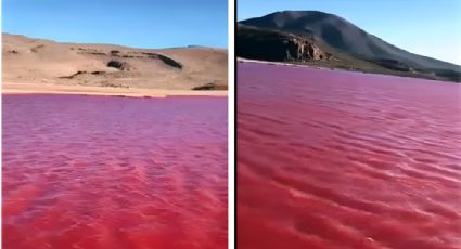 ¿Por qué el Río Nilo se tiñó de rojo en Egipto?