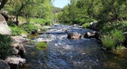 Buscan alternativas para abatir rezago en aguas tratadas