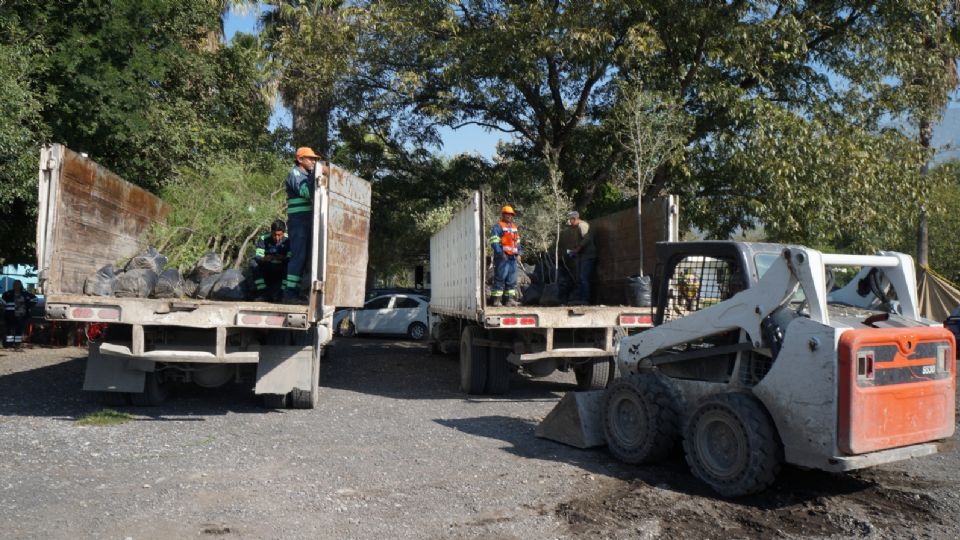 Leyenda200 árboles estuvieron en adopción como parte de las jornadas del programa municipal Adopta un árbol.