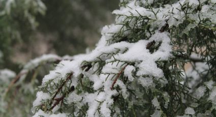 ¿Qué es una tormenta invernal, fenómeno localizado en Nuevo León?