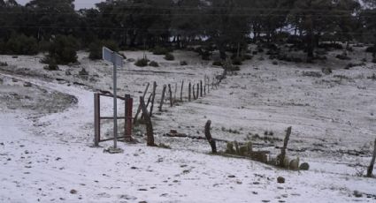 Cae aguanieve en Nuevo León por efectos de tormenta invernal