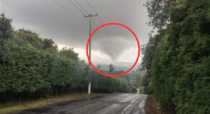 Tornado arrasa con huertas de aguacate en Peribán, Michoacán