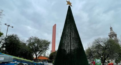 ¡Huele a Navidad! Trabajan en instalación de pino gigante en Monterrey