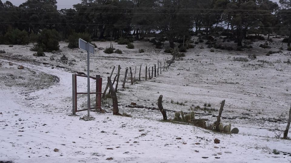 Tormenta invernal trae aguanieve a Nuevo León