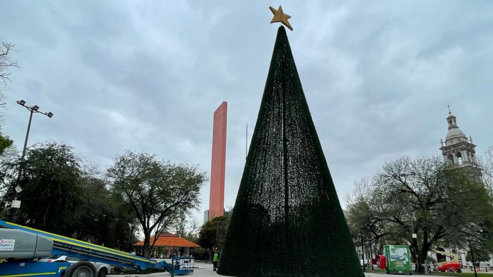 Pino instalado en Monterrey