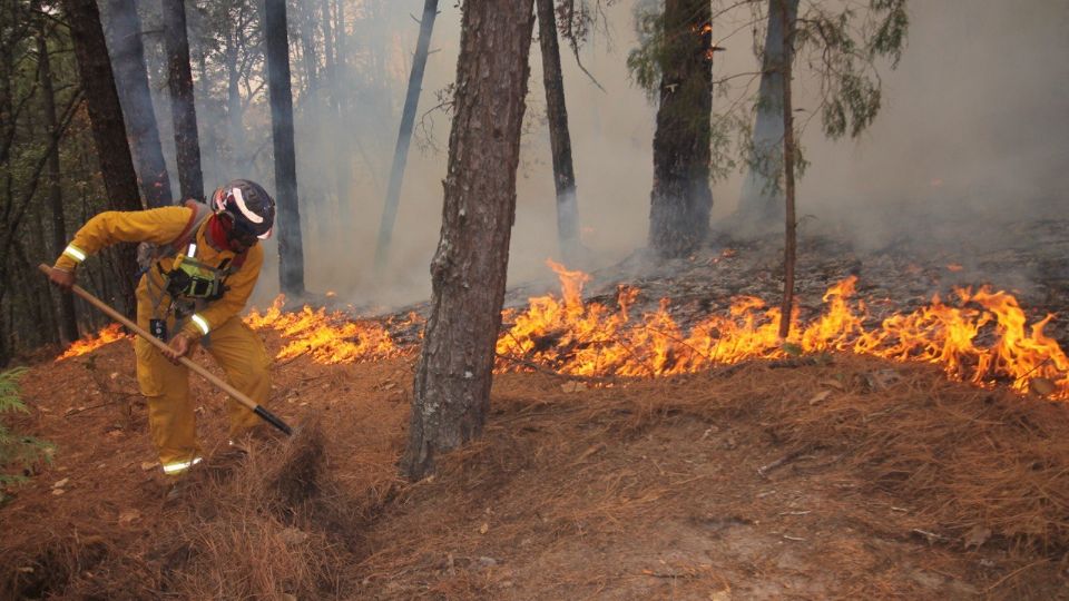 Incendios forestales en Nuevo León.