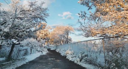 Caen las primeras nevadas en Chihuahua