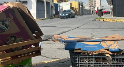 Regios desairan nuevos botes de basura