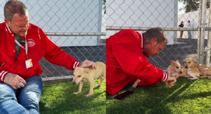 Vampiro Canadiense invita a regios a donar cobijas a perritos sin hogar