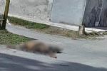 Asesinan a hombre a balazos en el municipio de Doctor Coss, Nuevo León