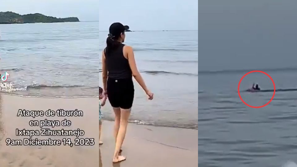 Captan ataque de tiburón a turista en Zihuatanejo