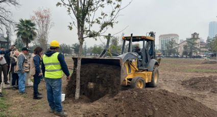 Monterrey ve cerca término de reforestación en primer cuadrante de La Alameda