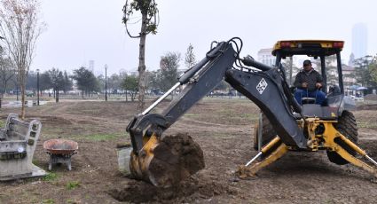 Reposición de árboles en La Alameda concluirá la próxima semana