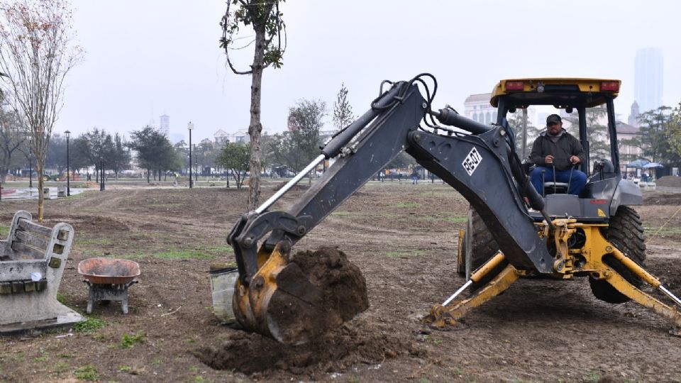 Reposición de árboles en el primer cuadrante de La Alameda Mariano Escobedo